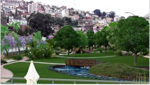 Place d’Ambohijatovo   - La transformation en parc botanique en cours