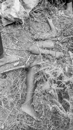 La souffrance liée à sa mise à mort serait inimaginable