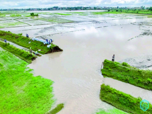 Montée des eaux - Situation sous contrôle sur les plaines de Tanà