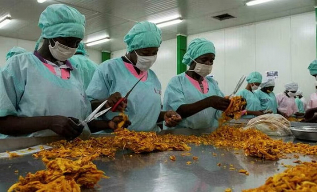 L&rsquo;objectif est de b&acirc;tir un tissu &eacute;conomique solide et &eacute;quitable