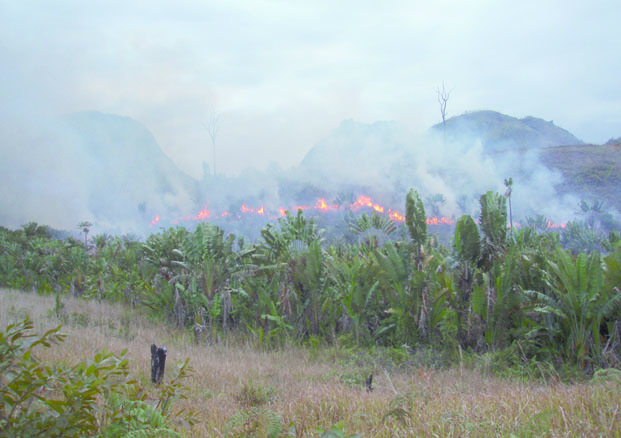 Changement climatique - Madagascar, troisi&egrave;me pays le plus vuln&eacute;rable du monde