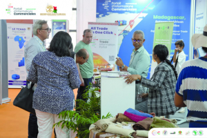 Commerce - Le numérique malagasy à la conquête du marché africain