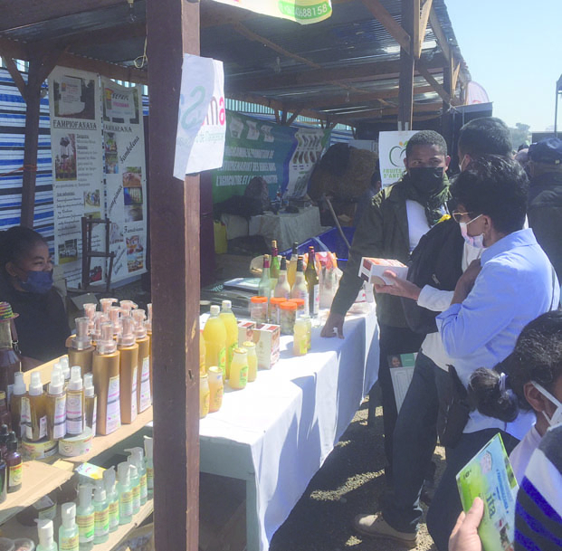 Développement de l’entrepreneuriat à Madagascar - Tout est question de mentalité
