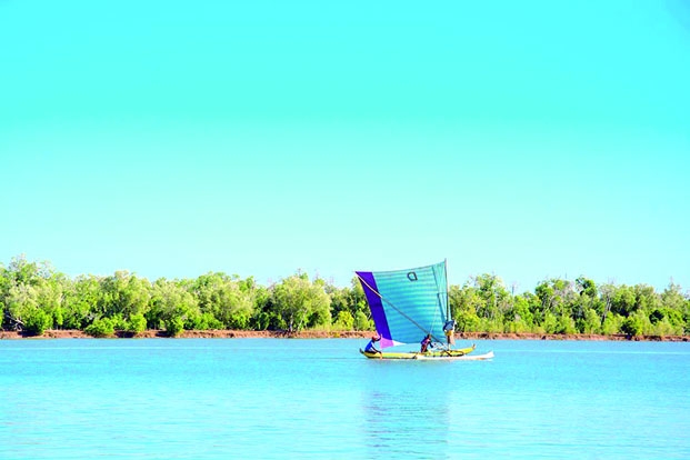 Tourisme - Un nouveau circuit pour découvrir les mangroves de Kivalo