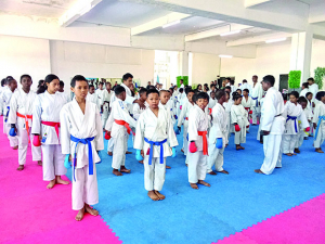 Karaté -Coupe internationale - 350 combattants attendus sur le tatami à Antananarivo  