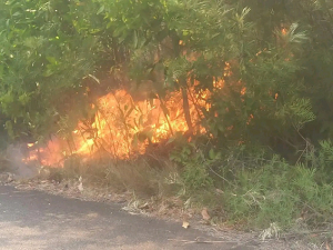 Saison sèche - Un risque élevé de feux de brousse