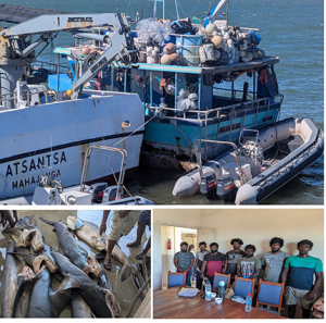 Pêche illégale - Un bateau sri-lankais intercepté avec 12 tonnes de requins frais