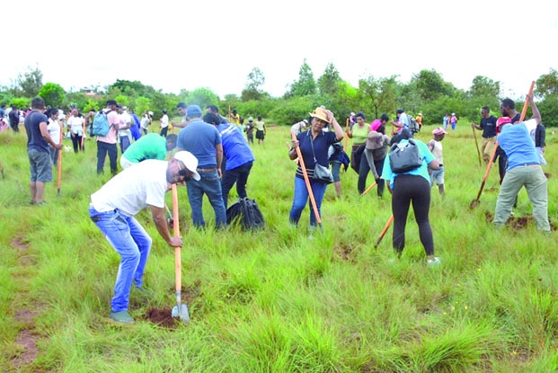 « Tagnamaro 2020 » - Des milliers de jeunes plants mis en terre