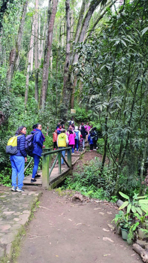 Conservation de la biodiversité - « Mandraka Park » bientôt sur la liste des aires protégées