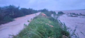 Fleuve de Fiherenana - Aucune menace de rupture de la digue