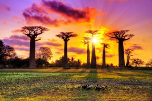 Tourisme mondial - Madagascar parmi les meilleures destinations 2023