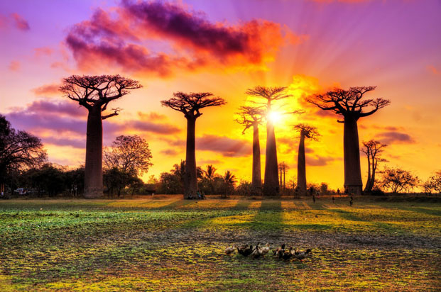 Tourisme mondial - Madagascar parmi les meilleures destinations 2023