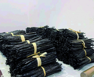 Marché américain - La vanille malagasy exemptée de taxe