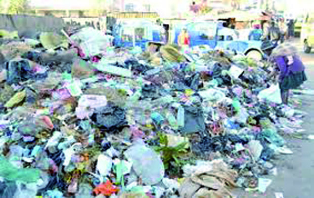 Ramassage des ordures dans la Capitale  - Reprise des activités !