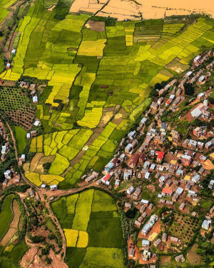  Les rizières de l’Imerina vues d’en haut