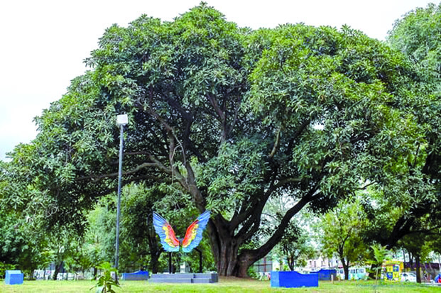 Festivités de Pâques - Les jardins d'Ambohijatovo et d'Anosy ouverts au public